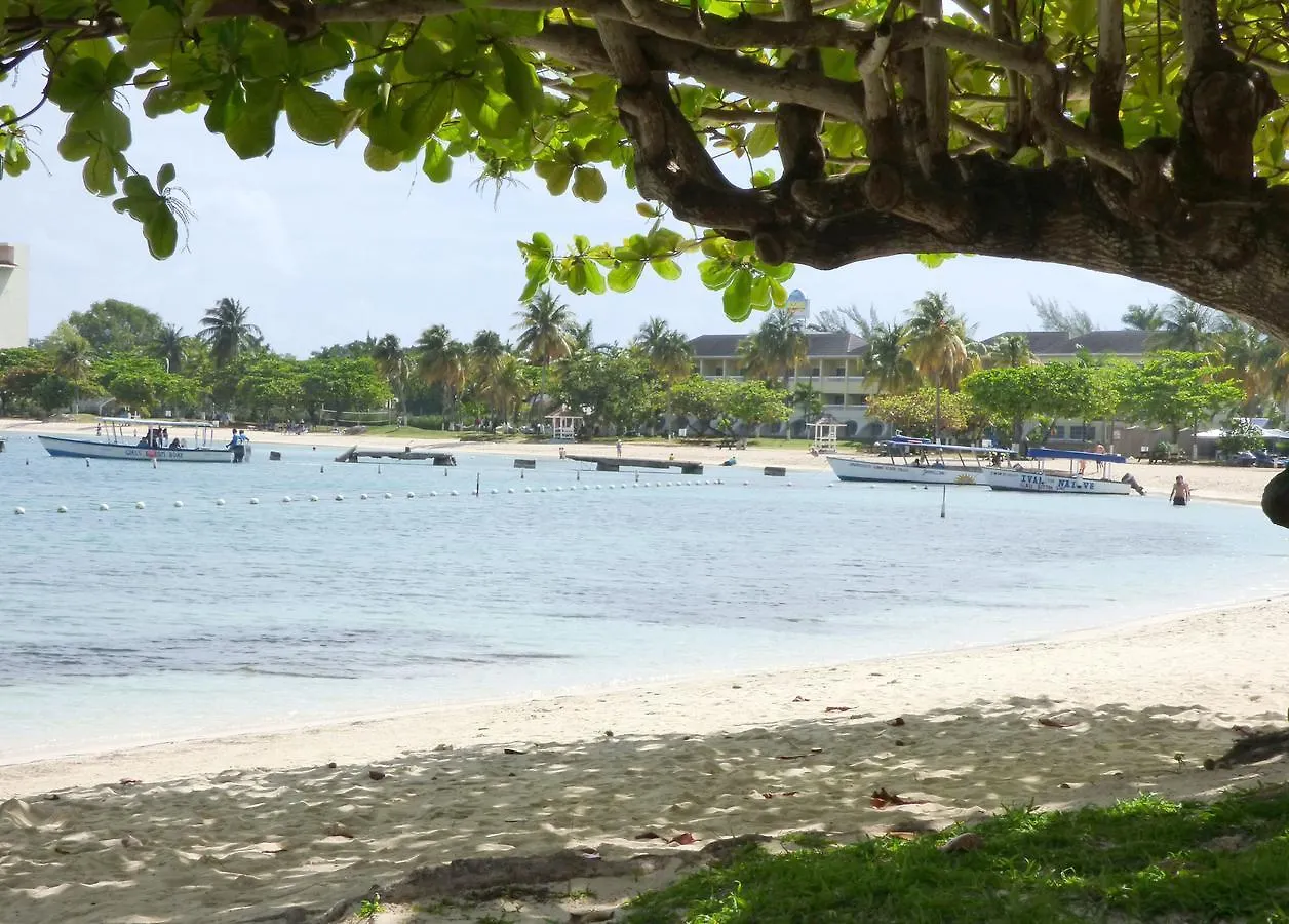 ** Appart hôtel Beach One Bedroom Suite C15 Ocho Ríos Jamaïque